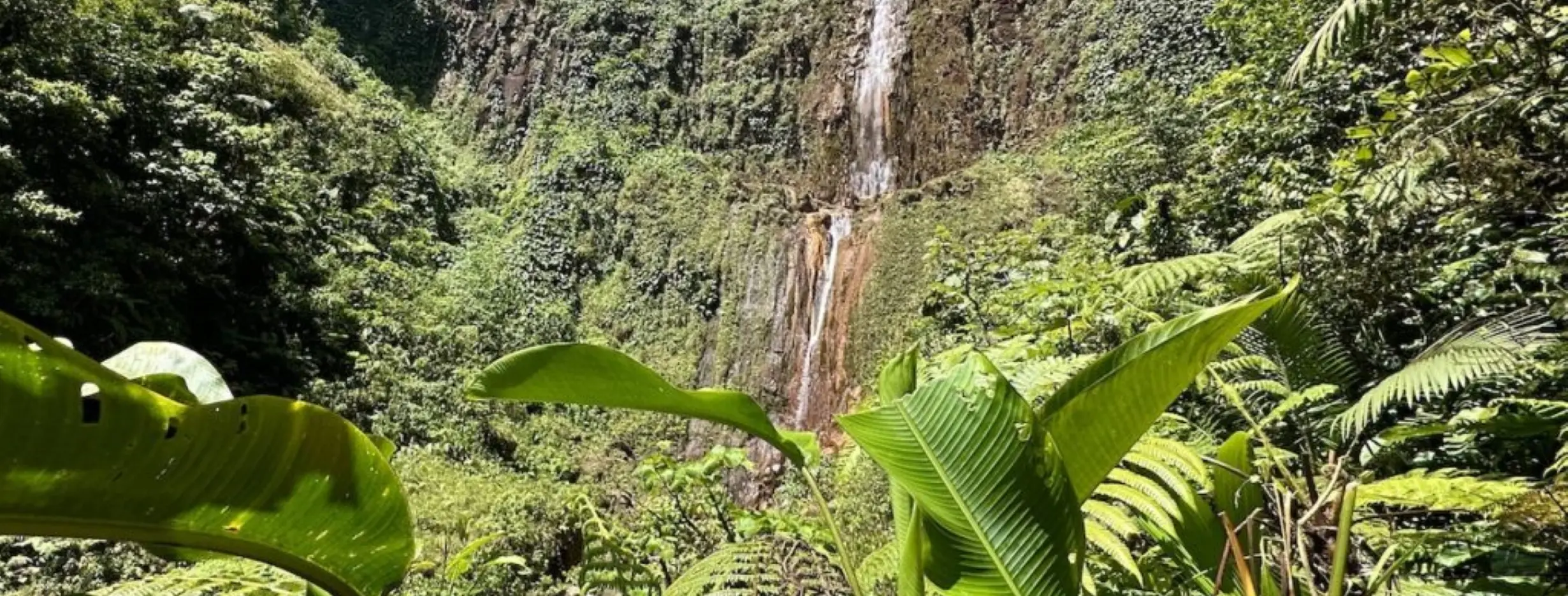 Image for Unveiling the Natural Wonders